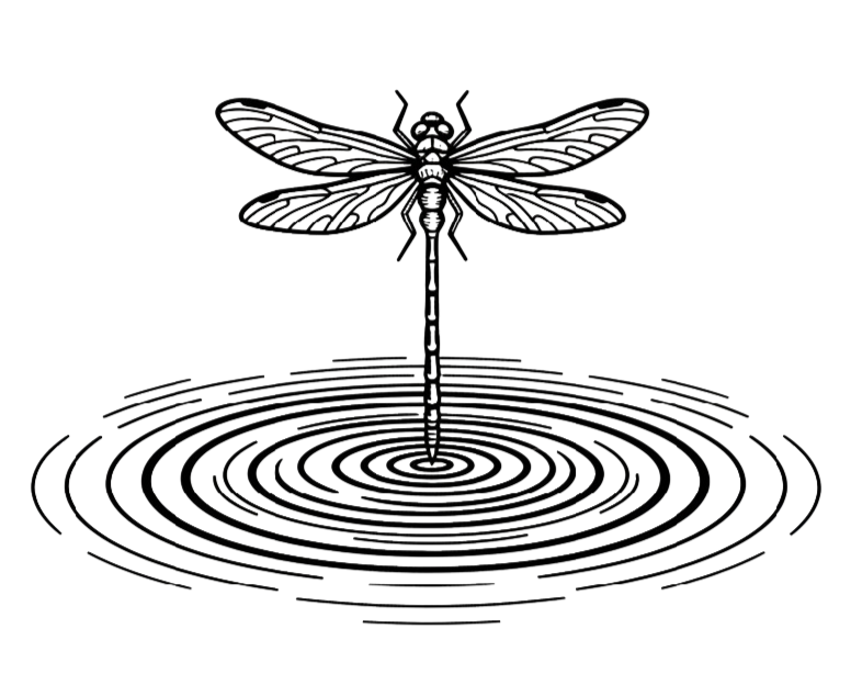 Sonido Manglar Sonido Manglar Logo